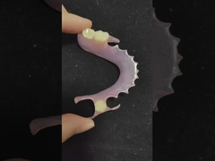 răng giả valplast